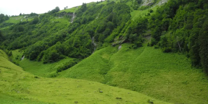 Bärgündele Alpe Bargundele Alpe