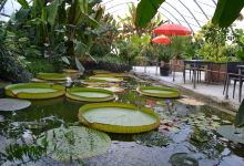 Jardin Botanique du Beau Pays景点图片