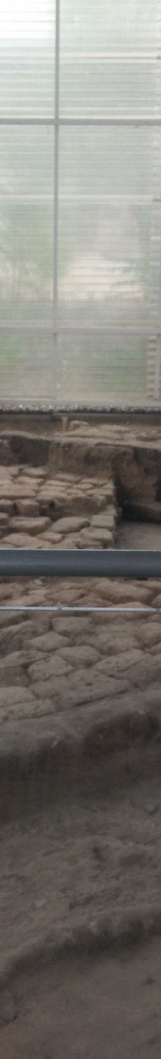 Cerro San Vicente-萨拉曼卡