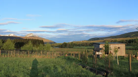 Colin Burt Reserve