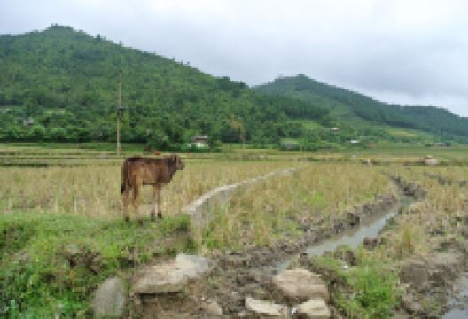 Tu Le Valley景点图片