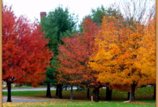 Bellamy Harbor Park景点图片