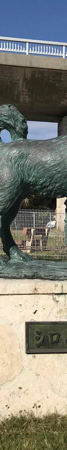 忠实的狗白 哀悼纪念碑-座间味村