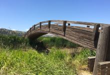 Martinez Regional Shoreline景点图片