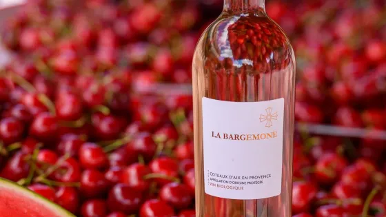 Commanderie de la Bargemone