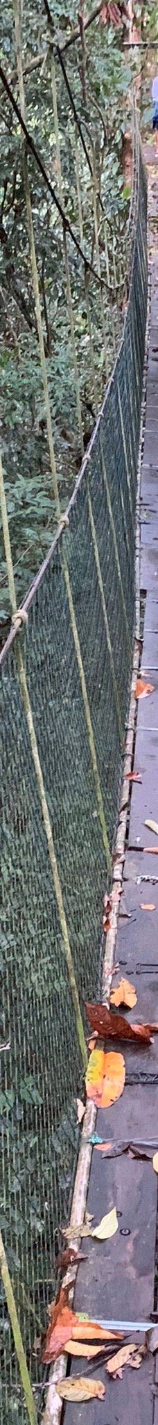 Mulu Skywalk-马鲁迪