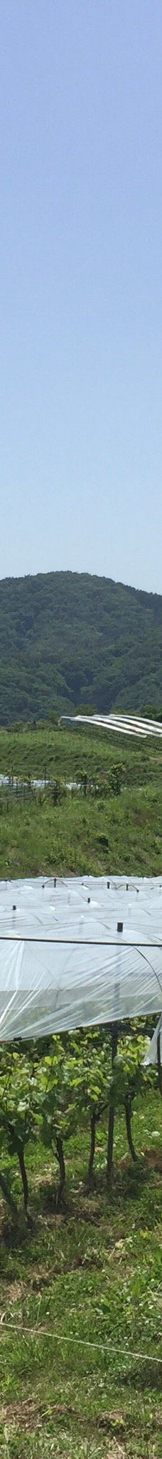 Domaine Tetta-新见市