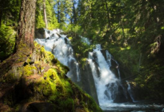 National Creek Falls景点图片