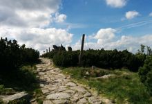 Slonecznik Rock景点图片