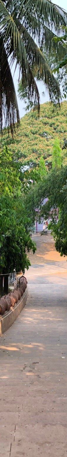 Wat Doi Ngam Muang-清莱