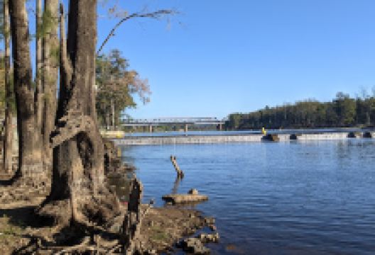 Weir Reserve景点图片