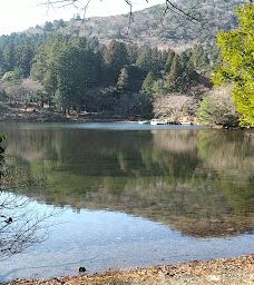 Shirakumo Pond-云仙市