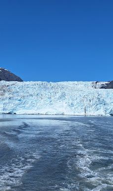 Kenai Fjords Tours-西沃德