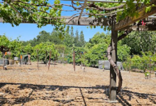 Fair Oaks Horticulture Center景点图片