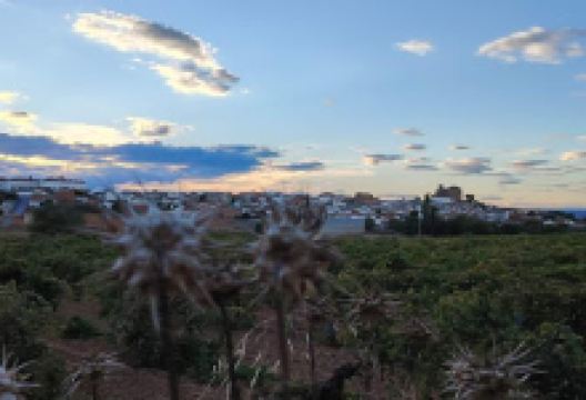 Convento De Los Trinitarios景点图片