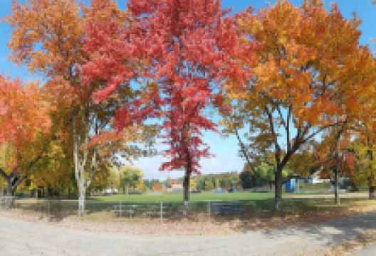 Murphy Park景点图片