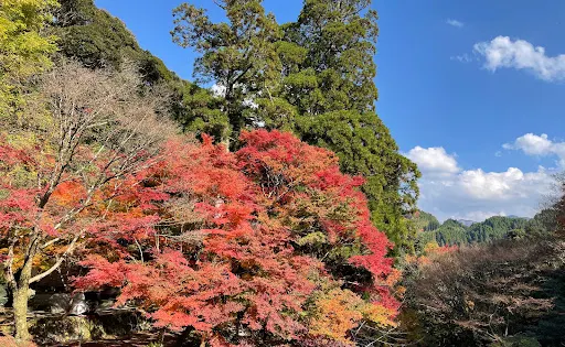 八女津媛神社