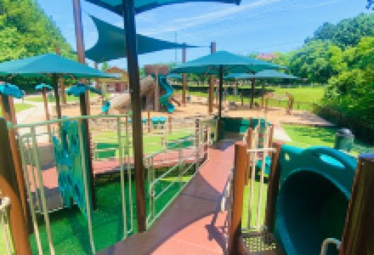 Silver Comet Trailhead and Kid's Park景点图片