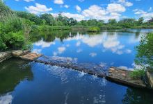 Tackapausha Nature Preserve景点图片