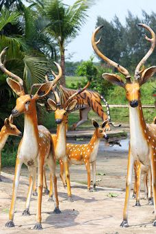 Nofel Dream World Park-诺阿卡利