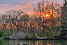 Etang des Carreaux景点图片