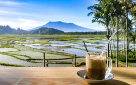 Teh Talua Tapai