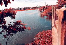 Kalubazar View point景点图片