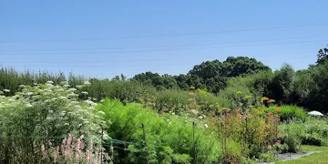 Trehane Blueberry PYO