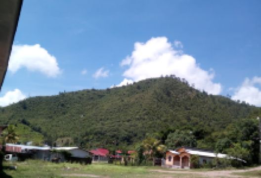 Ecologico Park景点图片