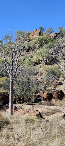 Violet Valley Campground-奥德里弗