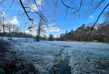 Staatsbosbeheer Twente景点图片