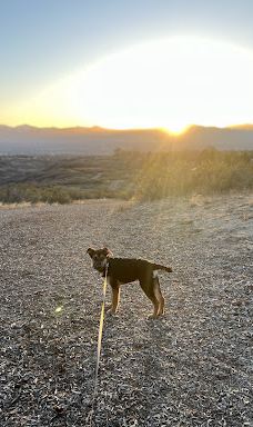 Dimple Dell Regional Park-山迪