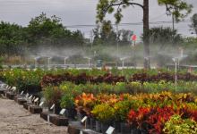 A One Stop Garden Shop Inc.购物图片