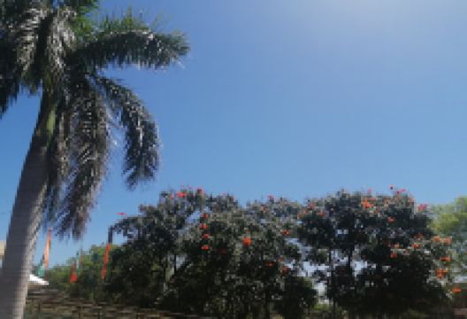 Parque de la Ciudad景点图片