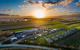 Kaasboerderij De Buitenhoeve