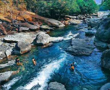 Virgin Valley