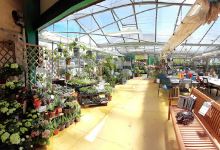 RAGT Jardin et Maison购物图片