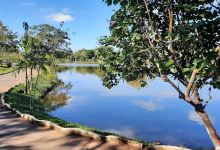 Parque Ambiental Francisca Stochi Luz Da Costa景点图片