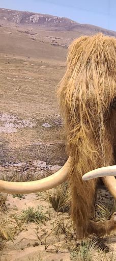 肖维岩洞-瓦隆蓬达尔克