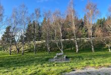 Bench of Gratitude景点图片