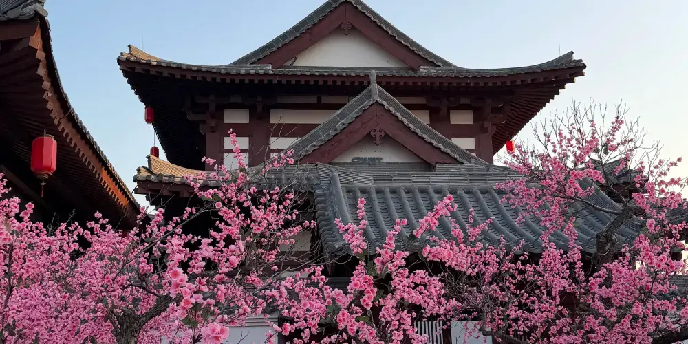 永安旅遊