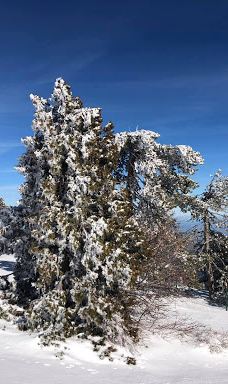 奥林匹斯山-特罗多斯山