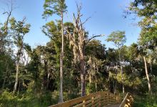 Rocky Creek Trails Nature Preserve景点图片