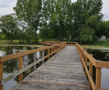 Ted Putz Nature Area