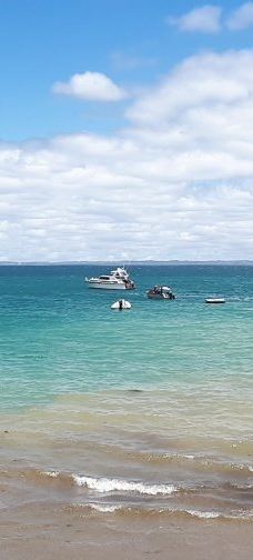 豪拉基湾-奥克兰