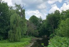Saddle River County Park景点图片