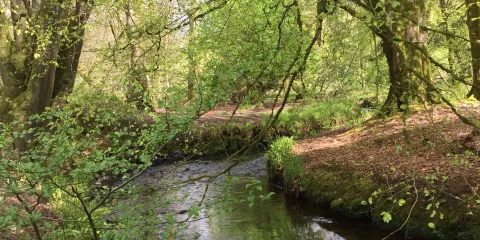 Parkanaur Forest Park