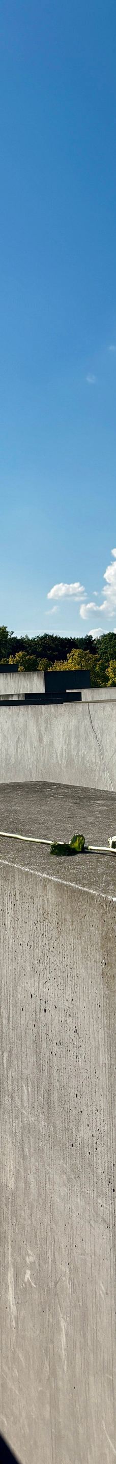 欧洲被害犹太人纪念碑-柏林