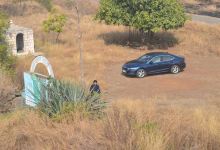 Great Indian Bustard Sanctuary景点图片