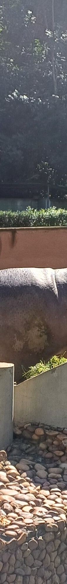 Parque Zoologico Municipal Quinzinho De Barros-索罗加巴